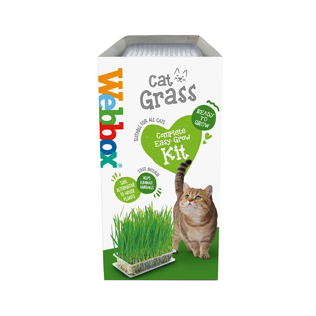 webbox cat yogurt