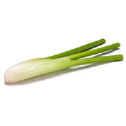 Kibsons Fennel