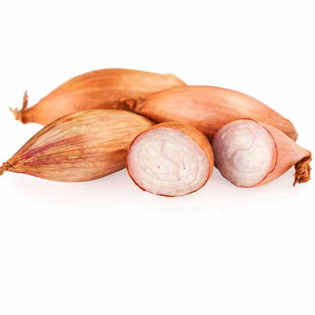 Kibsons Shallots
