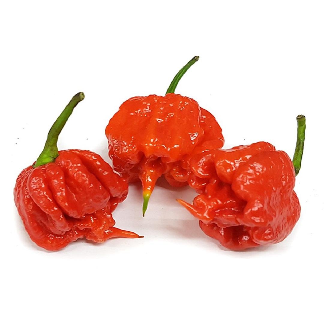 Kibsons Chilli Peppers