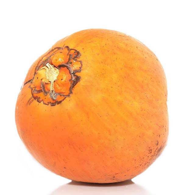 Kibsons Coconut