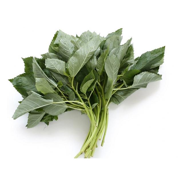 Kibsons Molokhia