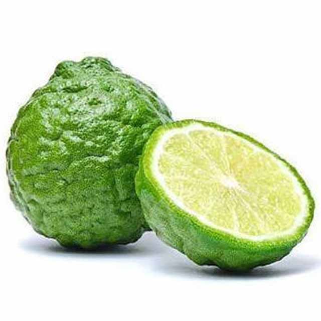 Kibsons Limes