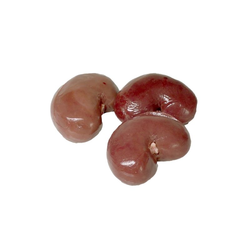 Jimmy's Kidney