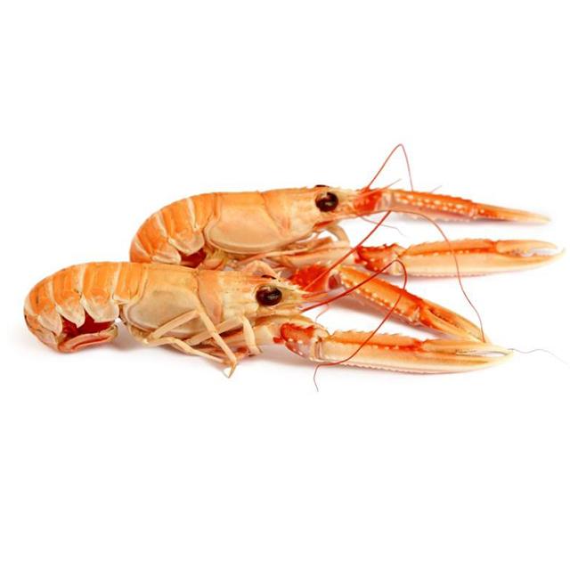Culimer Langoustines