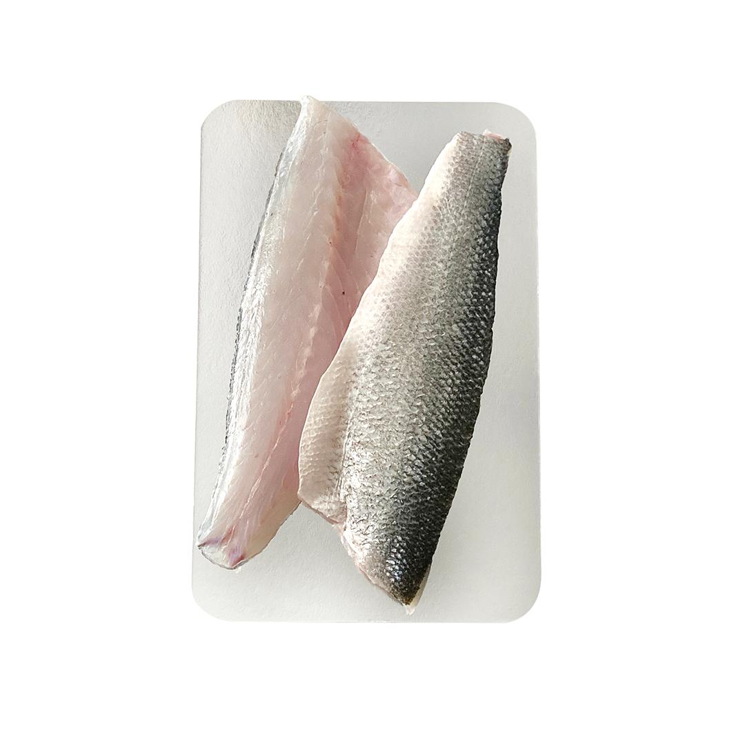 Wetfish Sea Bass